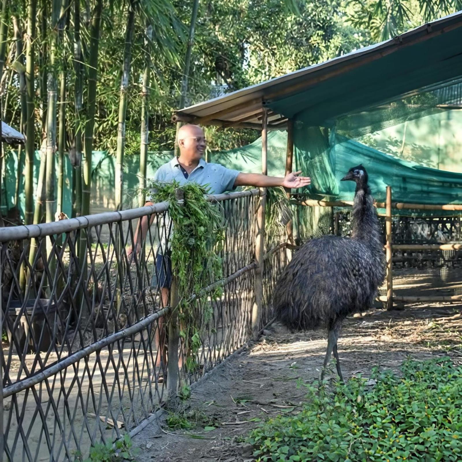 Bogibil Eco Resort New Дибругар Екстериор снимка